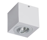 Espaço da Luz